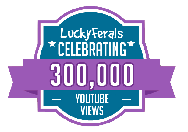 300000 YouTube Views Milestone