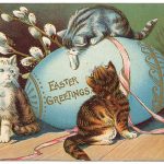 Happy Easter Greetings from The Lucky Ferals!