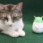 Friskies Pull And Play Cat Toy Review - Instructions - Cats Playing