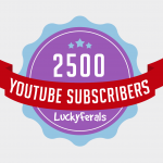 Lucky Ferals Celebrating 2500 YouTube Subscribers!