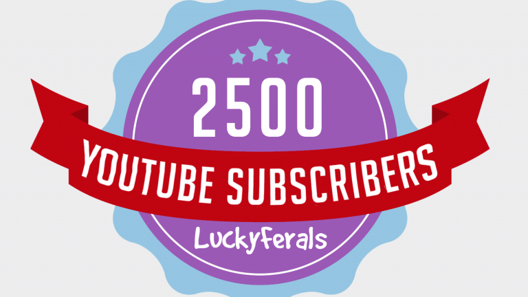 2500 YouTube Subscriber Milestone