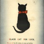 A Black Cat Good Luck Postcard From 1910