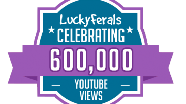 YouTube Views Milestone 600K