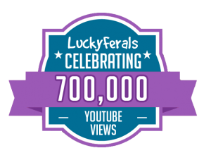 YouTube Views Milestone 700K