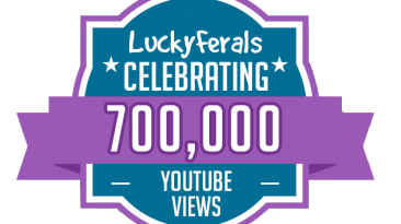 YouTube Views Milestone 700K