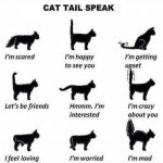 Cat Tail Speak
