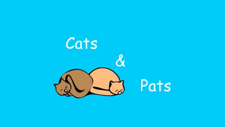 cats and pats