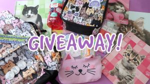 Back To School/Work/Anywhere GIVEAWAY! Win FREE Cat Themed Stuff!