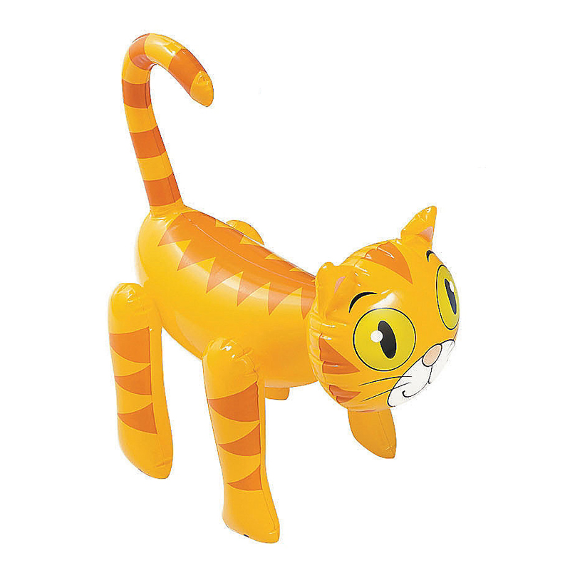 orange cat toy