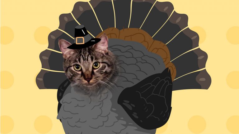 Thanksgiving Caturkey