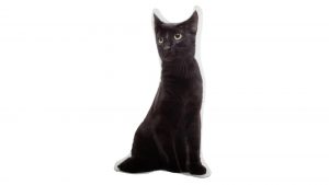 black cat boo pillow giveaway