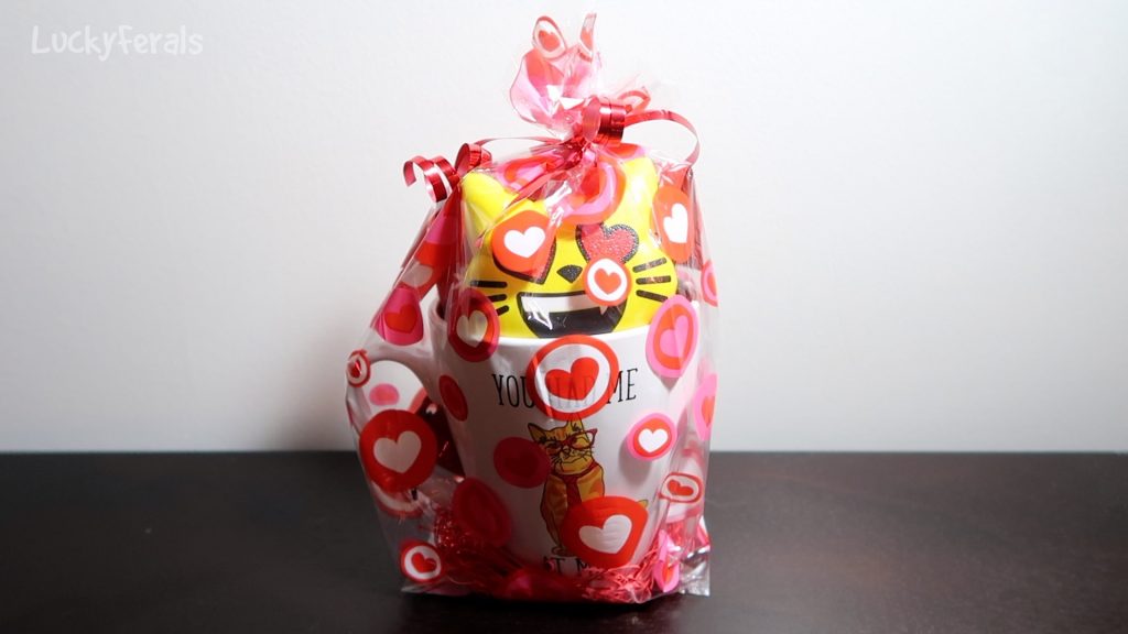 Valentine's Day Gift Bag