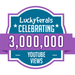 Celebrating 3 Million Video Views On YouTube!