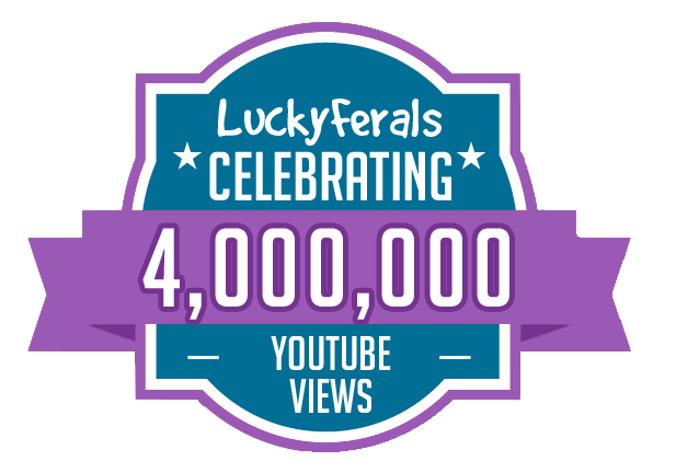 YouTube 4M Views Milestone