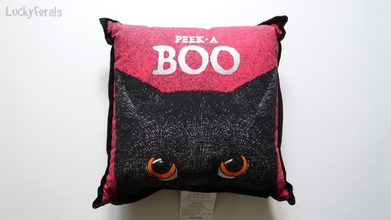 Black Cat Peek A Boo Pillow