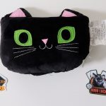 Enter To Win The Black Cat Plush Pillow Giveaway With New Boo Stuff!