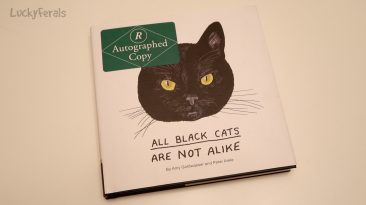 all black cats are not alike book