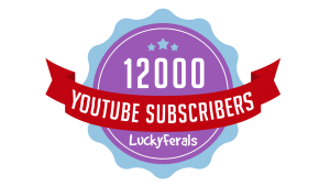 12k Subscriber Banner