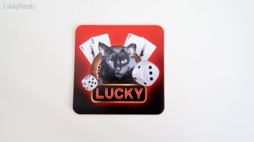 Lucky Black Cat Magnet