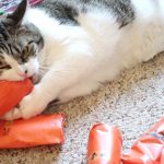Boo Year 2 # 58 - Mail Time And The Cats Open Their Halloween Presents - Cat Family Vlog Reality
