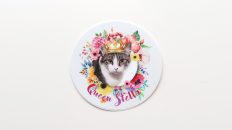 Queen Stella Stickers