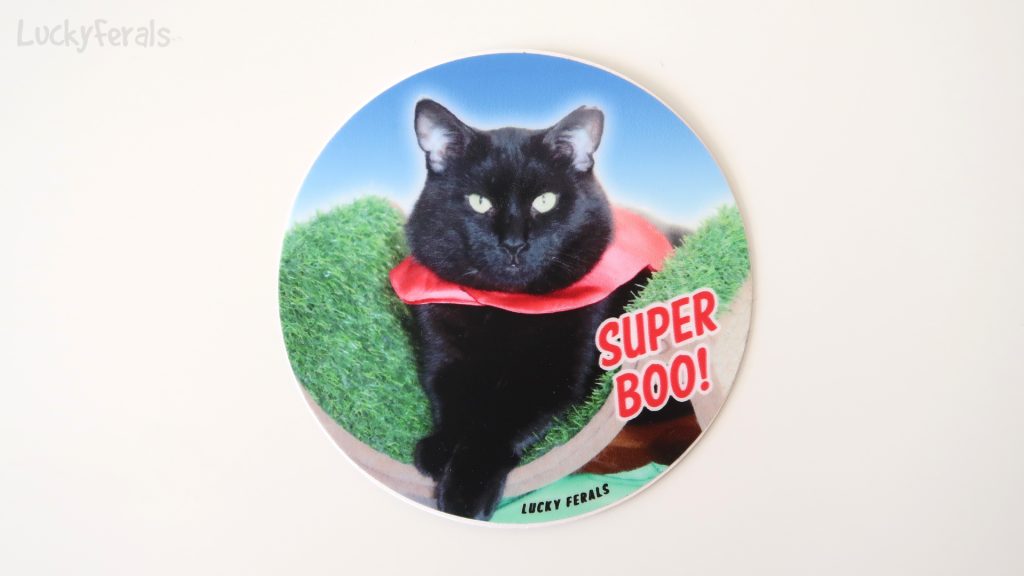 Super Boo Sticker 