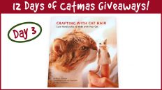 12 Days Of Catmas Day Three Cat Hair Book