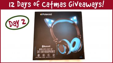 12 Days Of Catmas Day Two Headphones