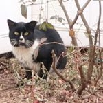 Boo Year 2 # 73 - Fussy Boo, Weighing Scoops, Hello Ditto, Splash In The Sherpa