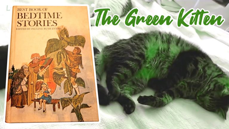 the green kitten