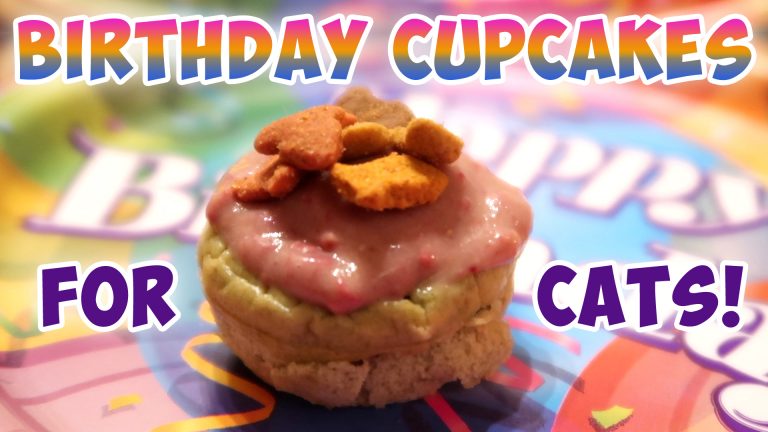 Birthday Cupcakes For Cats