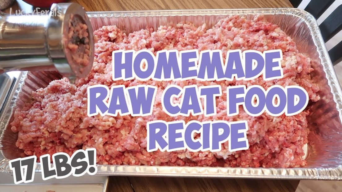Homemade Raw Cat Food Recipe Bulk Batch That I’ve Been Feeding The