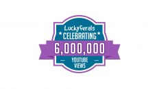 YouTube 6M Views Milestone
