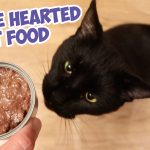 Whole Hearted Cat Food - Tuna And Shrimp Recipe - Taste Test And Review
