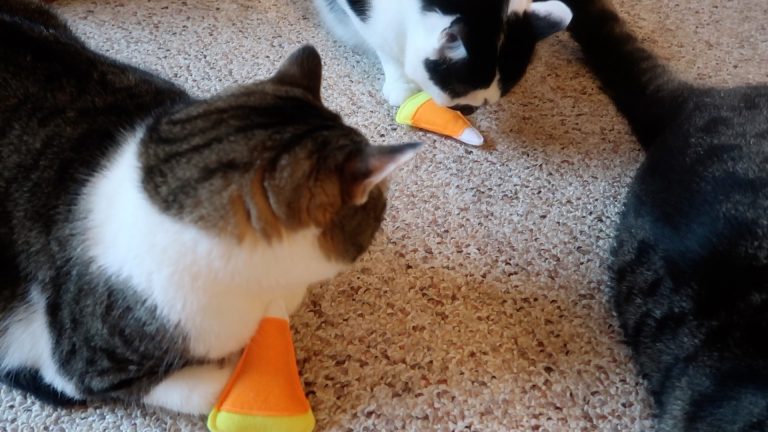 Halloween Candy Corn Cat Toys