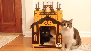 Target Haunted Mansion Cat Scratcher