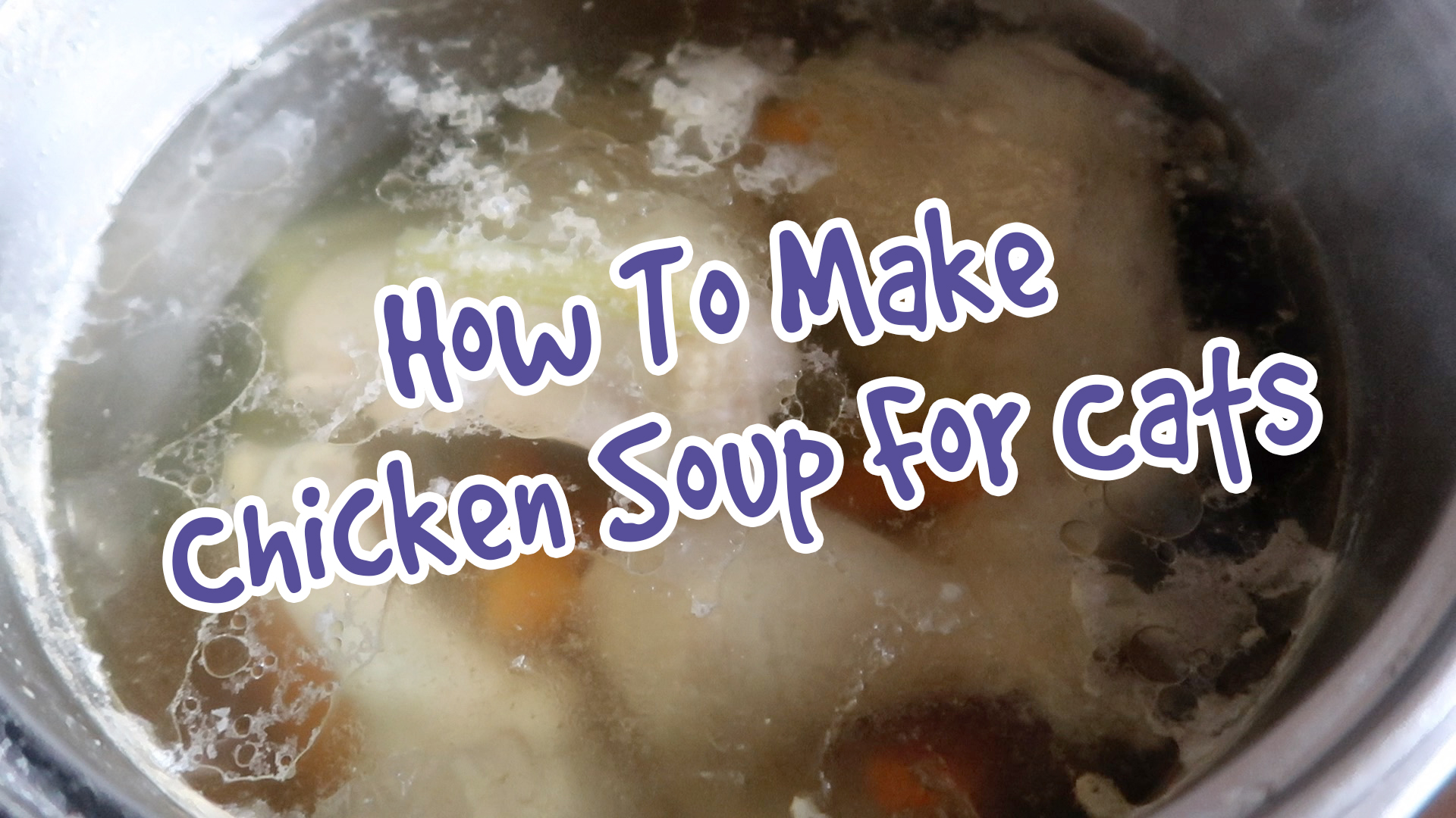 Chicken Soup For Cats THUMB