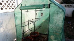 mini walk in greenhouse