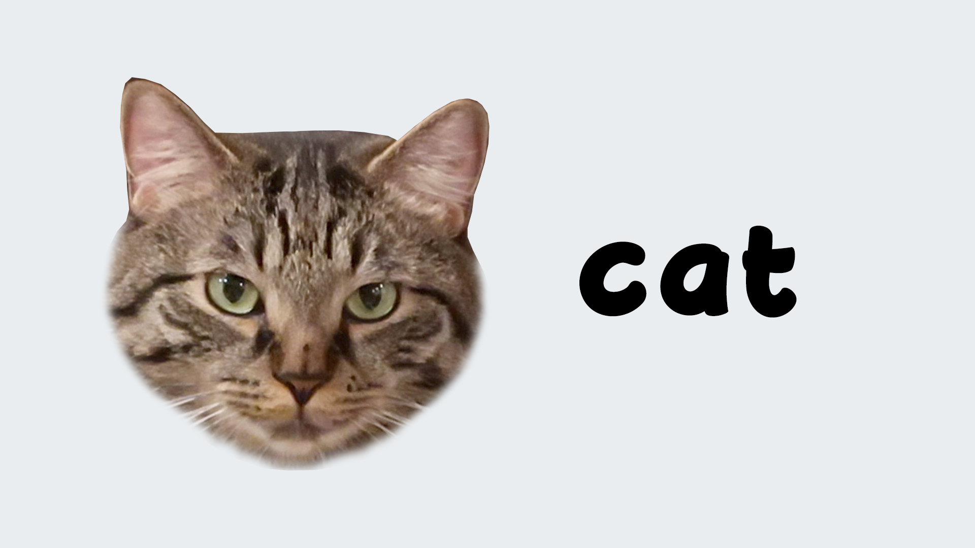 Your_Cat. Cat teacher. H4to Cat. Belling the Cat перевод. This your cat
