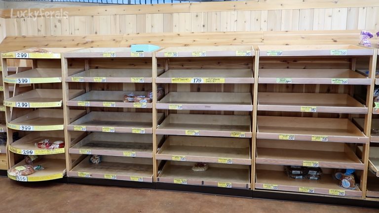 extreme panic buying