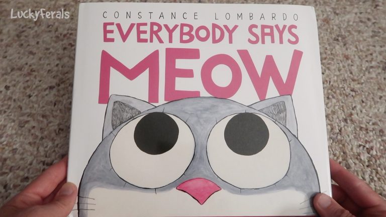 Everybody Says Meow
