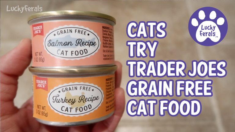 trader joe's grain free cat food