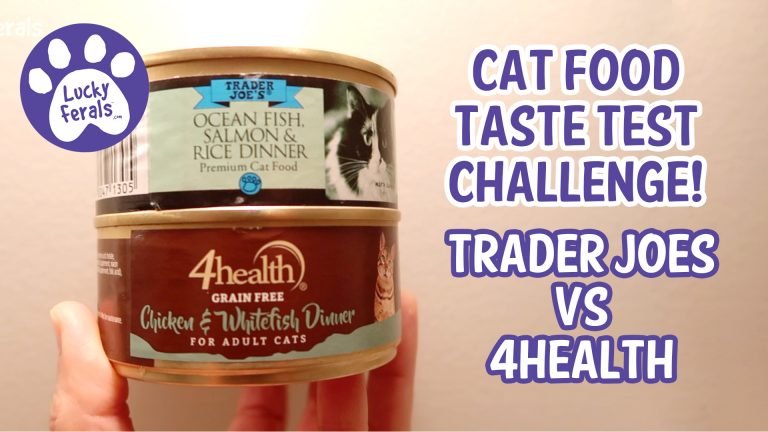 cat food taste test