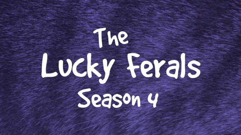 Lucky Ferals Season 4