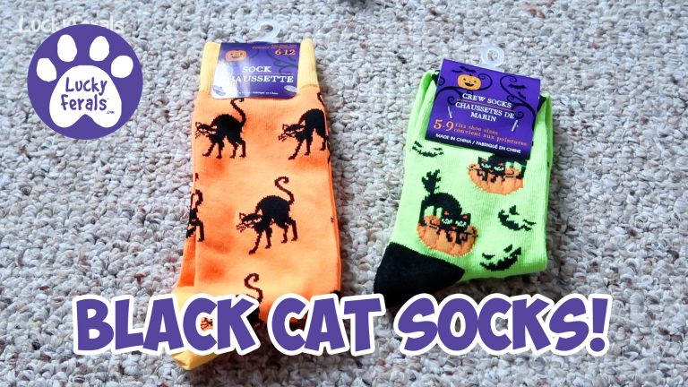 black cat socks