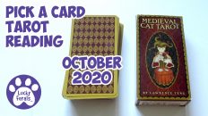 Pick A Card Tarot Reading October 2020