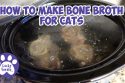 Bone Broth For Cats