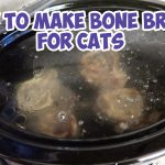 How To Make Bone Broth For Cats * Bone Broth Recipe